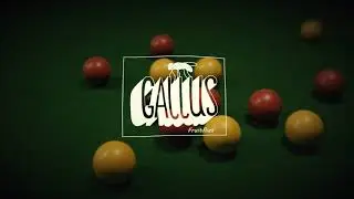 Gallus - Fruitflies (Official Video)
