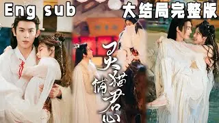[MULTI SUB]《灵猫捕君心》灵界最强宫主小灵猫苏清寒与人族第一高手仙门公子沈墨卿相遇相爱，却不知这段恋情是不为人知的陷阱。我会铲除，所有当在我们前面的障碍。#短剧 #甜宠 #drama