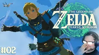 WE EXPLORE THE SKIES IN TEARS OF THE KINGDOM!!! (Legend of Zelda Tears of the Kingdom #02)
