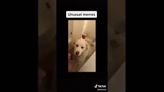 мемы часть 3
