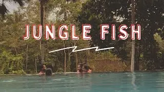 VISITAMOS UN JUNGLE/MOUNTAIN CLUB EN UBUD