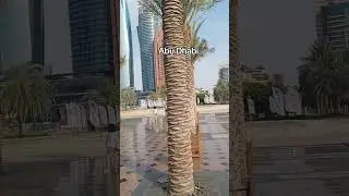 Abu Dhabi UAE 🇦🇪 #travel #vacation #love