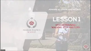 Johanna Ullstrom Masterclass - Lesson 1