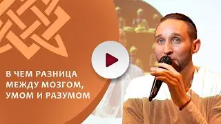 В ЧЕМ РАЗНИЦА МЕЖДУ МОЗГОМ, УМОМ И РАЗУМОМ