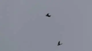 СВГ Голуби,25.11.2021