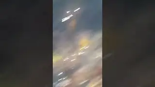 terapi dengan gigitan ikan nilem