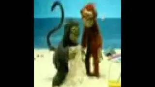 macaco tarado