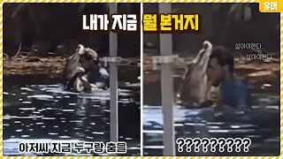내가 보고 있는게 맞는거지..? 두 눈을 의심하게 만드는 당황스러운 장면들ㅋㅋㅋㅋㅋㅋㅋㅋ