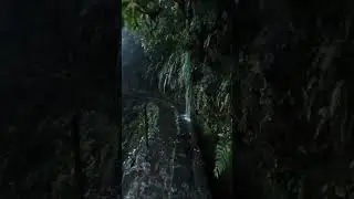 Most Beautiful place in the world 🌎 #shorts #nature #rain #destination #ytshorts