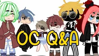 OC Q&A! (read description)