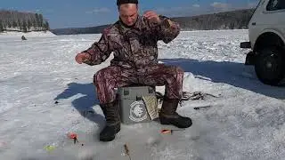 WE CATCH A LARGE DACE WITH A JIG. A greedy and unpredictable fish in the dead of winter.