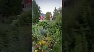 #отдыхаем #sorts