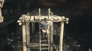 Your pawn will catch you when you fall they say... #dragonsdogma2