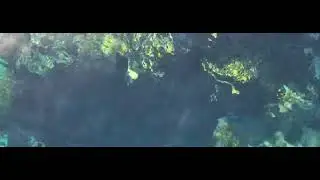 скатик в Красном море позирует отдыхающим