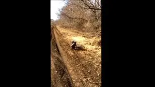 Подача гуся, РОС Дик вл.Гулиев Низами