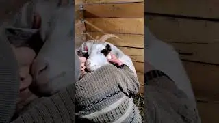 Кака любовь? Така любовь!😍😍😍