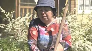 Посадка клубники уДачные советы
