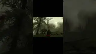 The Call Of The Bear 🐻 #Skyrim #Funny #Gaming