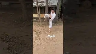 Power full side kick short🔥 #short #kick #power #ufc #mmafighter @prashanthprashu_