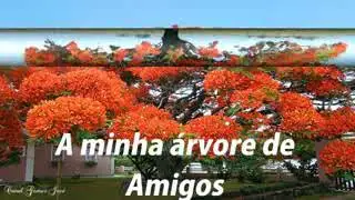 Adorei este vídeo