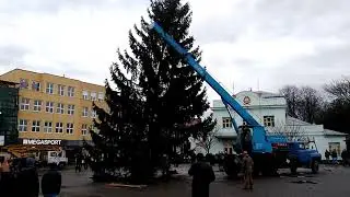 Ужгород, ялинка на Театральній