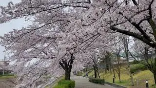 Nature MotionElements  hd