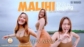 Dj Malihi Lagu Dayak - Vita Alvia (Official Music Video)
