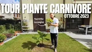 TOUR PIANTE CARNIVORE: OTTOBRE 2023