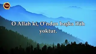Lev Enzelna - Salem al Ruwaili