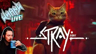 Whang Plays Stray (Part 1)