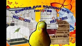 Клетка для волнистого попугая. Как выбрать клетку? Какая должна быть клетка? 