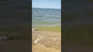Пляж и море - сказка! Должанка Ейск!