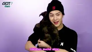 [Sub. Español] Jackson Wang juega con cachorros mientras responde preguntas de fans