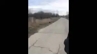 sophbir   свитер нужен