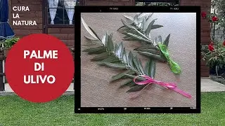 Palme di Pasqua, come fare le palme di ulivo intrecciate