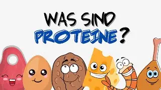 Was sind PROTEINE? Und warum sind sie so WICHTIG?