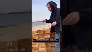 Отличие Дискового распила от ленточного. Премиум Лес