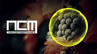 Paris Blohm  Mako ft Angel Taylor - You Were Here | NON COPYRIGHT MUSIC [NCM Released]
