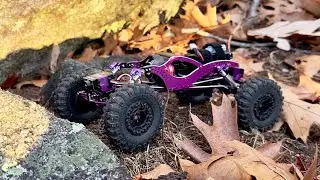 Purple Wiggle Monster on the Rocks!