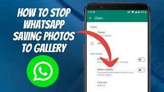 How to Stop WhatsApp Saving Photos To Gallery | NEW UPDATE (2024)