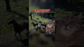 Funny RDR2 Memes PART 4 #rdr2 #reddeadredemtion2  #arthurmorgan #rdr2online #gamingmemes