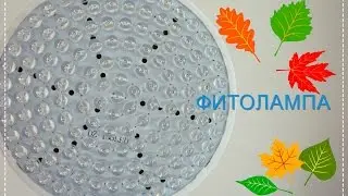 Моя первая фитолампа. Заказ из Китая.