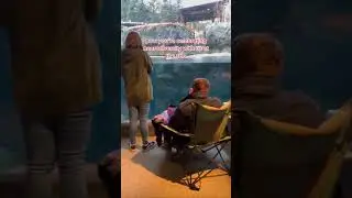 Hogle Zoo Zoolights Mini Vlog