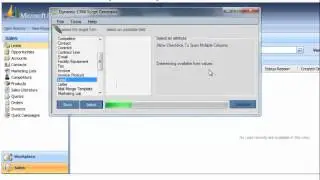 MSCRM: Allow Checkbox to Span Multiple Columns Script Tutorial from Script Generator Product