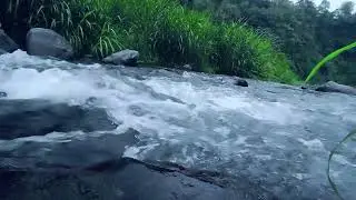 Mountain Stream & Forest River Sounds – Relaxing Flowing Water White Noise for Sleep & Stress Relief