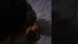 тэдис разгавор