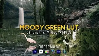 Moody Green Free Lut | VN Luts | Premiere Pro | Cinematic Lut |Colour Grading In Mobile | VN Editor