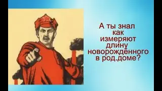 Длина ребёнка в 1 месяц. На сколько должен вырасти малыш? ©Шилова Наталия