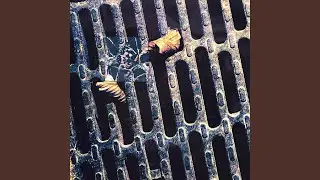 Scuttlemorph