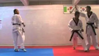 Práctica de Tae Kwon Do Luis Oscar Marco 050414